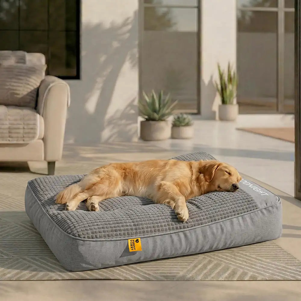 Ultimate Large Scratch-Resistant Dog Cushion Bed with Thick Spine Protection