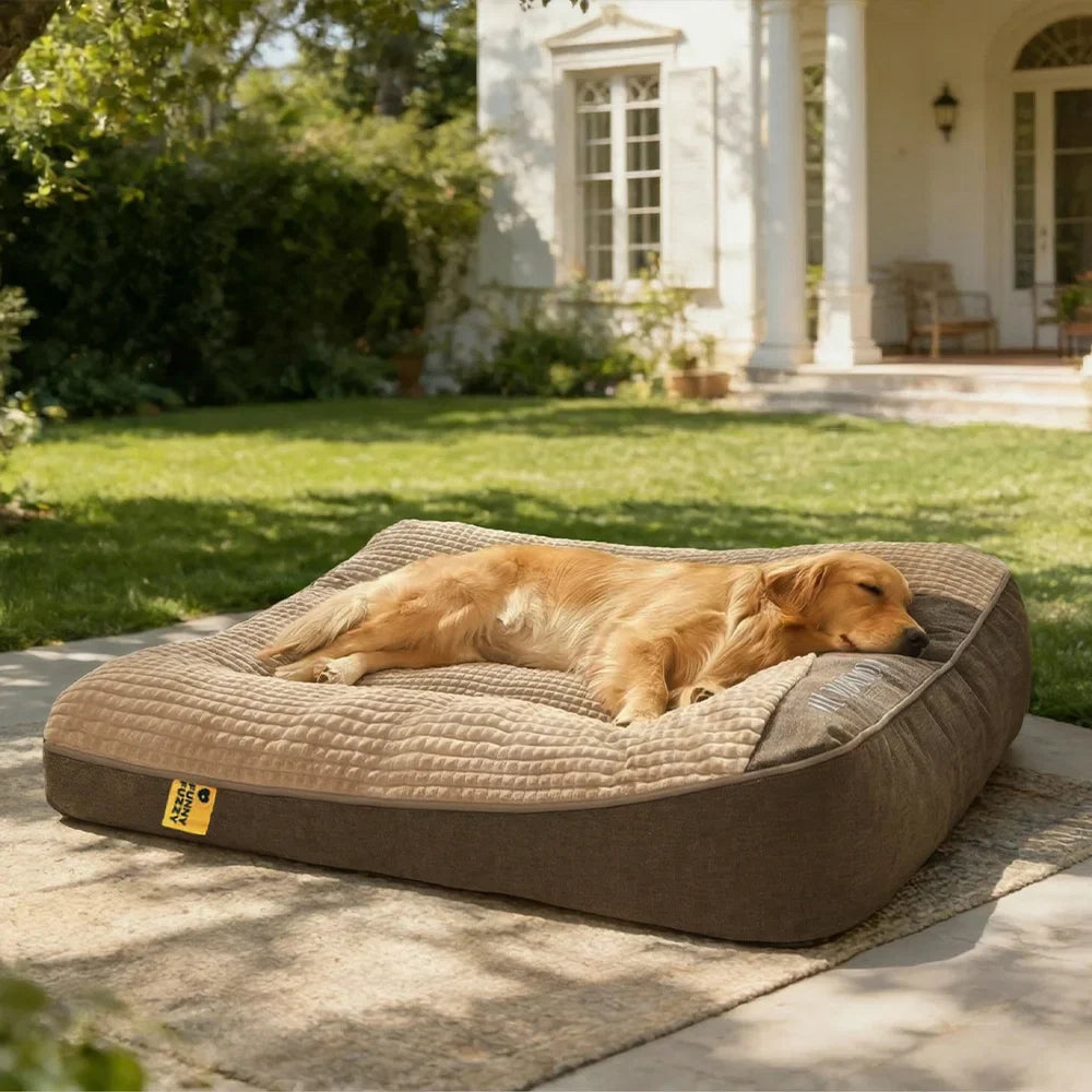 Ultimate Large Scratch-Resistant Dog Cushion Bed with Thick Spine Protection