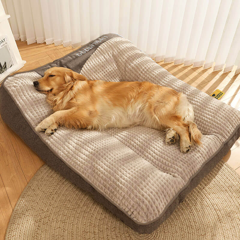 Ultimate Large Scratch-Resistant Dog Cushion Bed with Thick Spine Protection